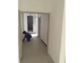 案例展示